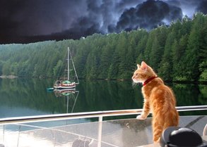Photoshop clouds captain cat